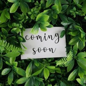 Grinch | Holiday Slippers (Women's Medium sz 8)